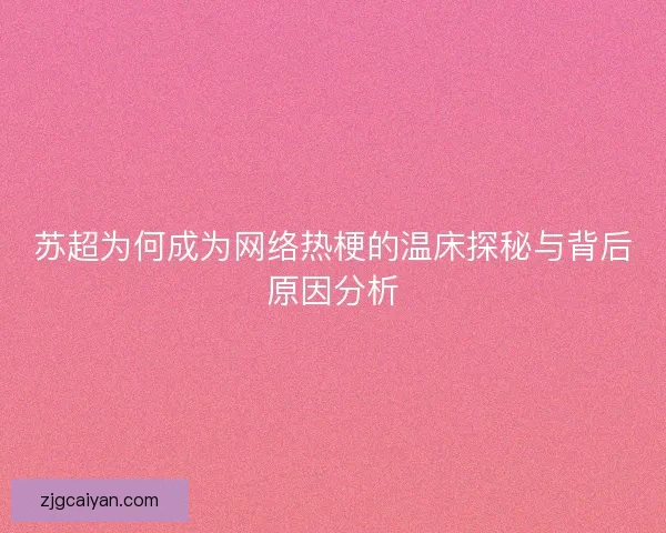 苏超为何成为网络热梗的温床探秘与背后原因分析