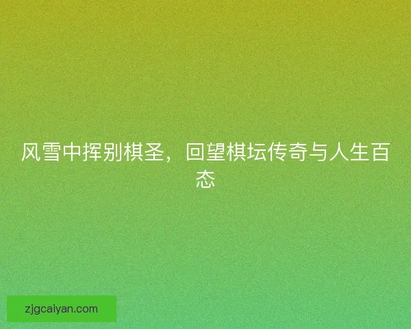 风雪中挥别棋圣，回望棋坛传奇与人生百态