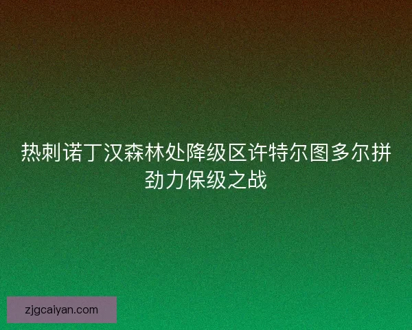 热刺诺丁汉森林处降级区许特尔图多尔拼劲力保级之战