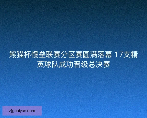 熊猫杯慢垒联赛分区赛圆满落幕 17支精英球队成功晋级总决赛