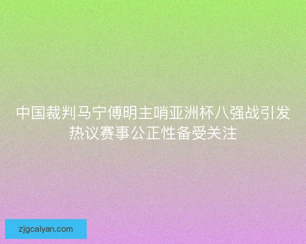 中国裁判马宁傅明主哨亚洲杯八强战引发热议赛事公正性备受关注