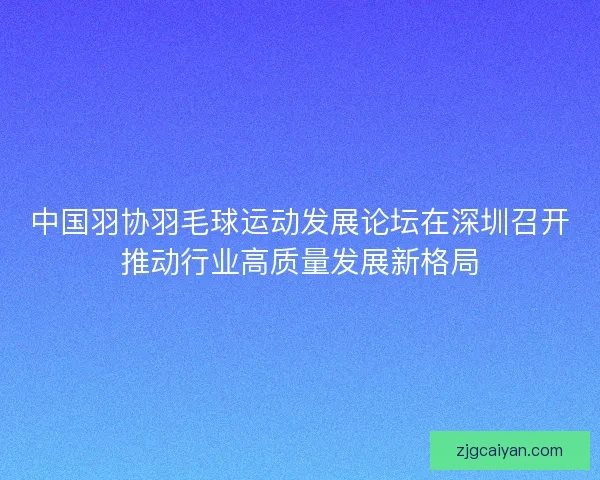 中国羽协羽毛球运动发展论坛在深圳召开推动行业高质量发展新格局